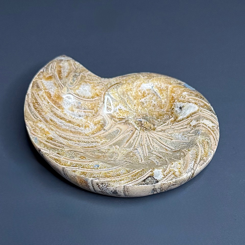 FO809 Ammonite Bowl