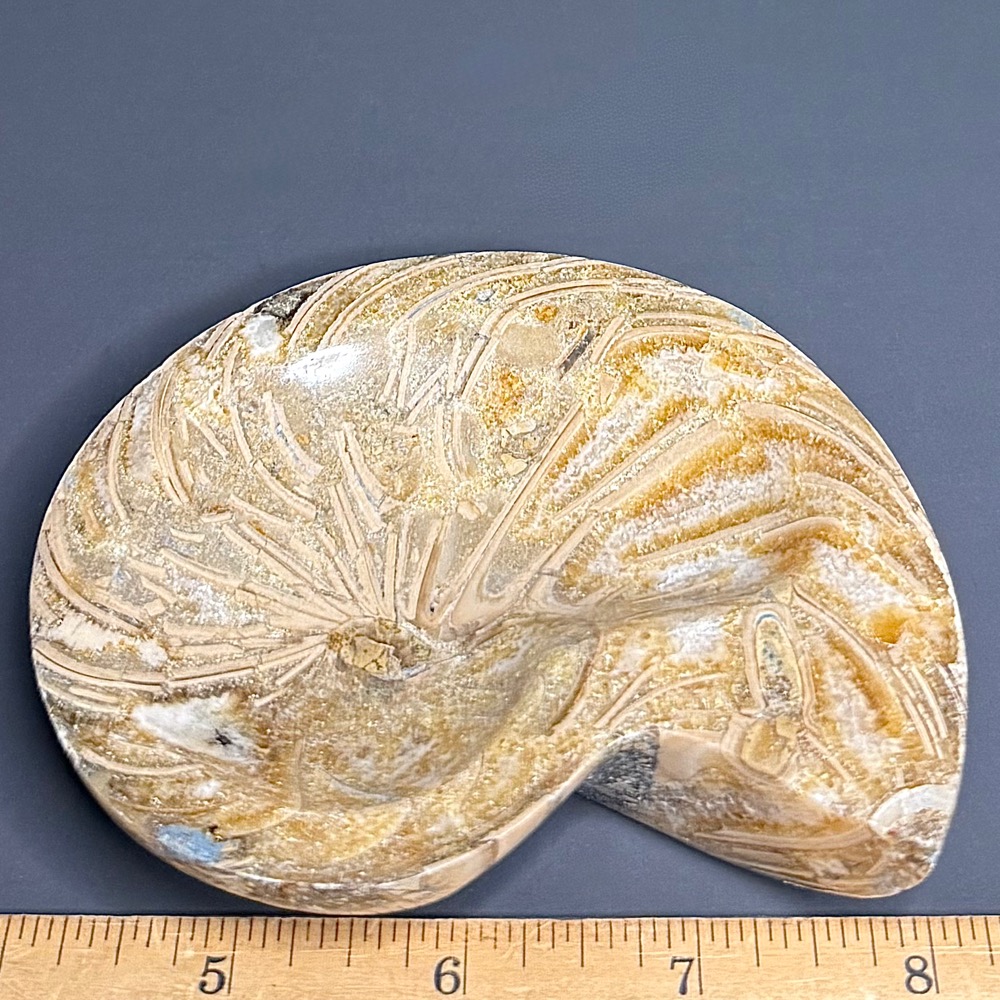 FO809 Ammonite Bowl - Image 2