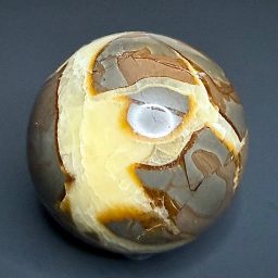SP414 Septarian