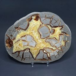 PR510 Septarian Slab