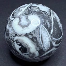 SP109 Fossil Shall Marble