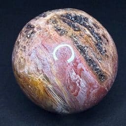 SP107 Petrified Wood