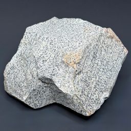 BCR319 Dalmatian Stone