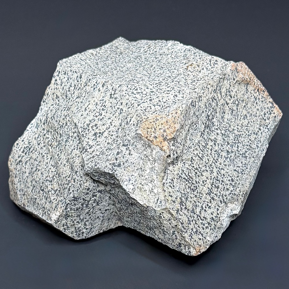 BCR319 Dalmatian Stone
