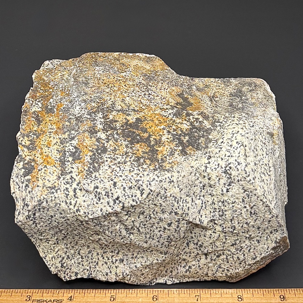 BCR319 Dalmatian Stone - Image 2
