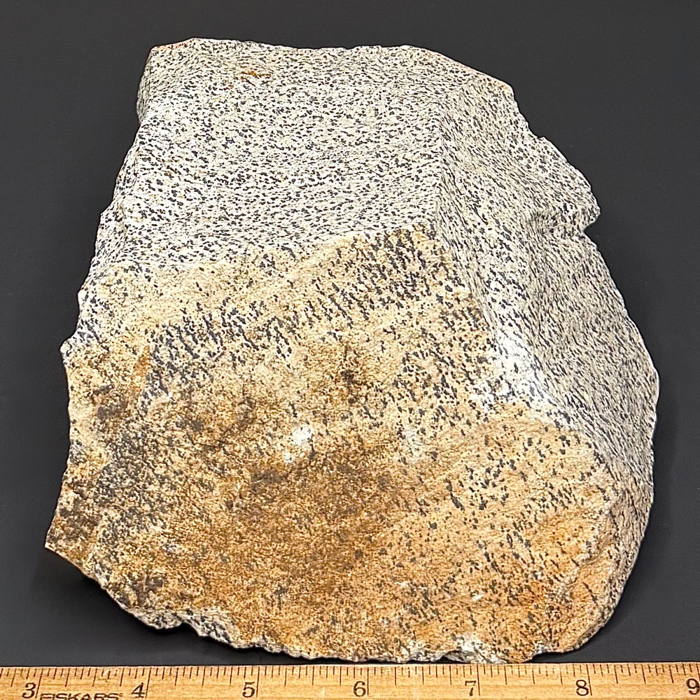 BCR319 Dalmatian Stone - Image 3