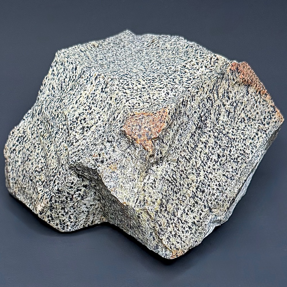 BCR319 Dalmatian Stone