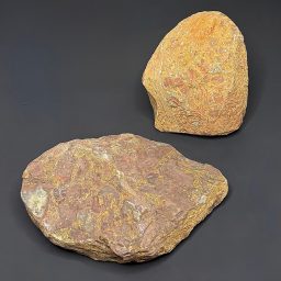 BCR407 Fruit Jasper