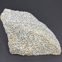 BCR319 Dalmatian Stone