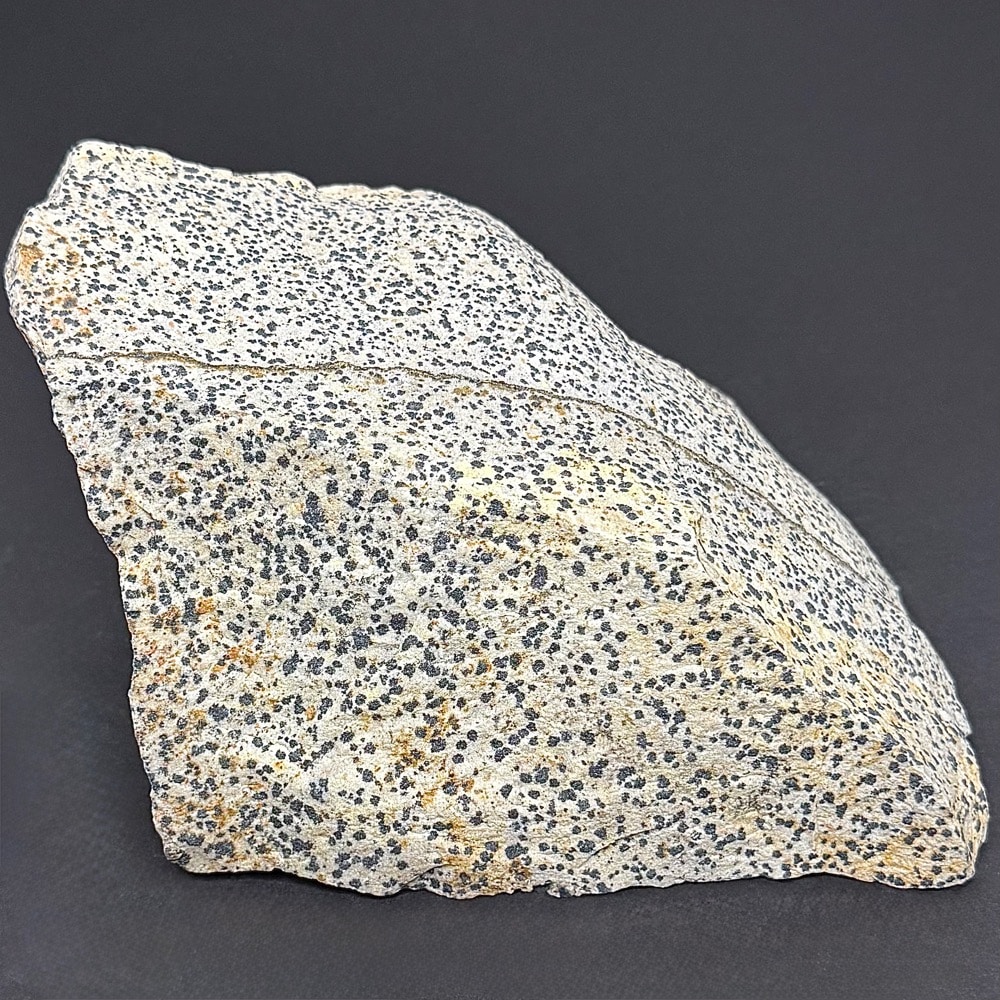 BCR319 Dalmatian Stone