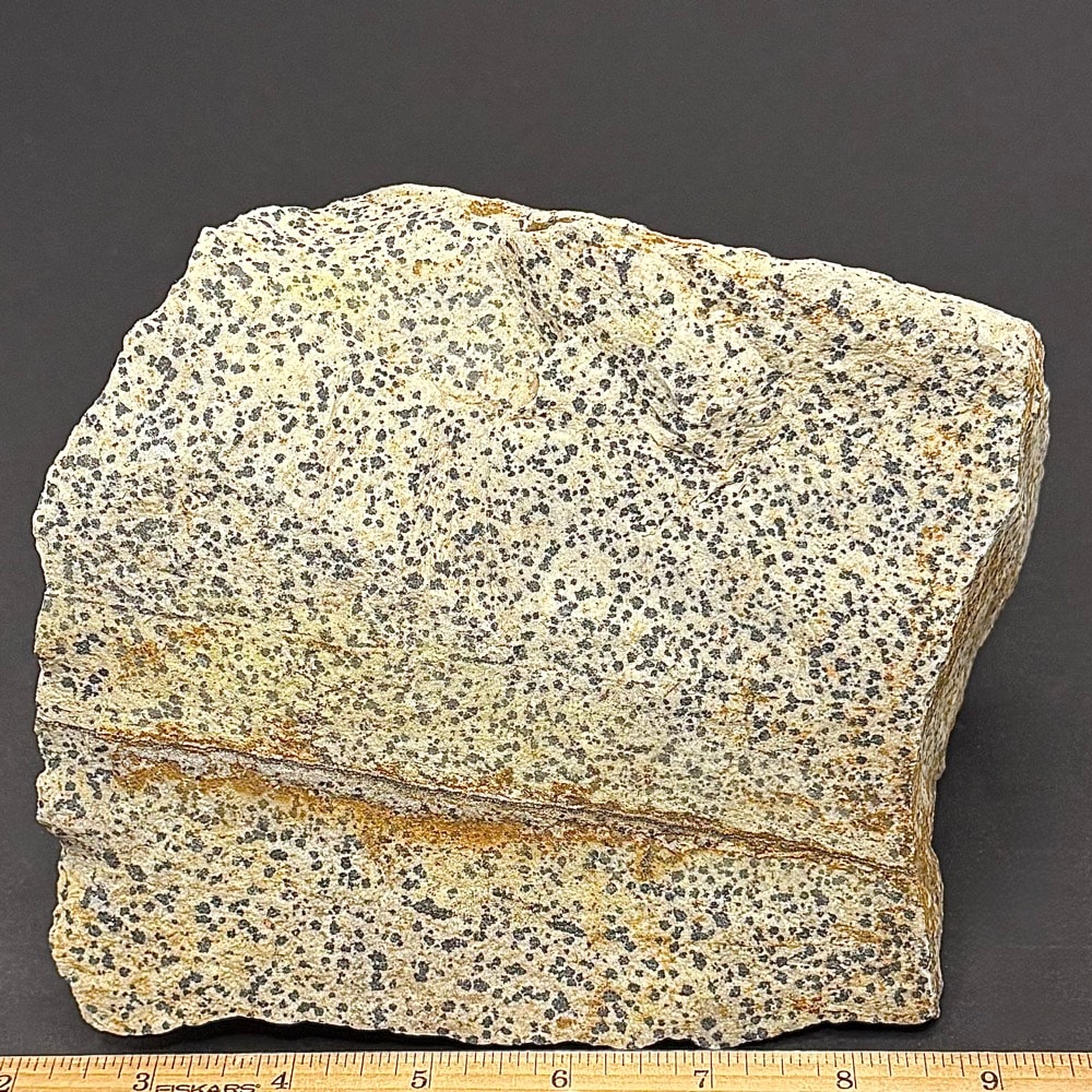 BCR319 Dalmatian Stone - Image 2