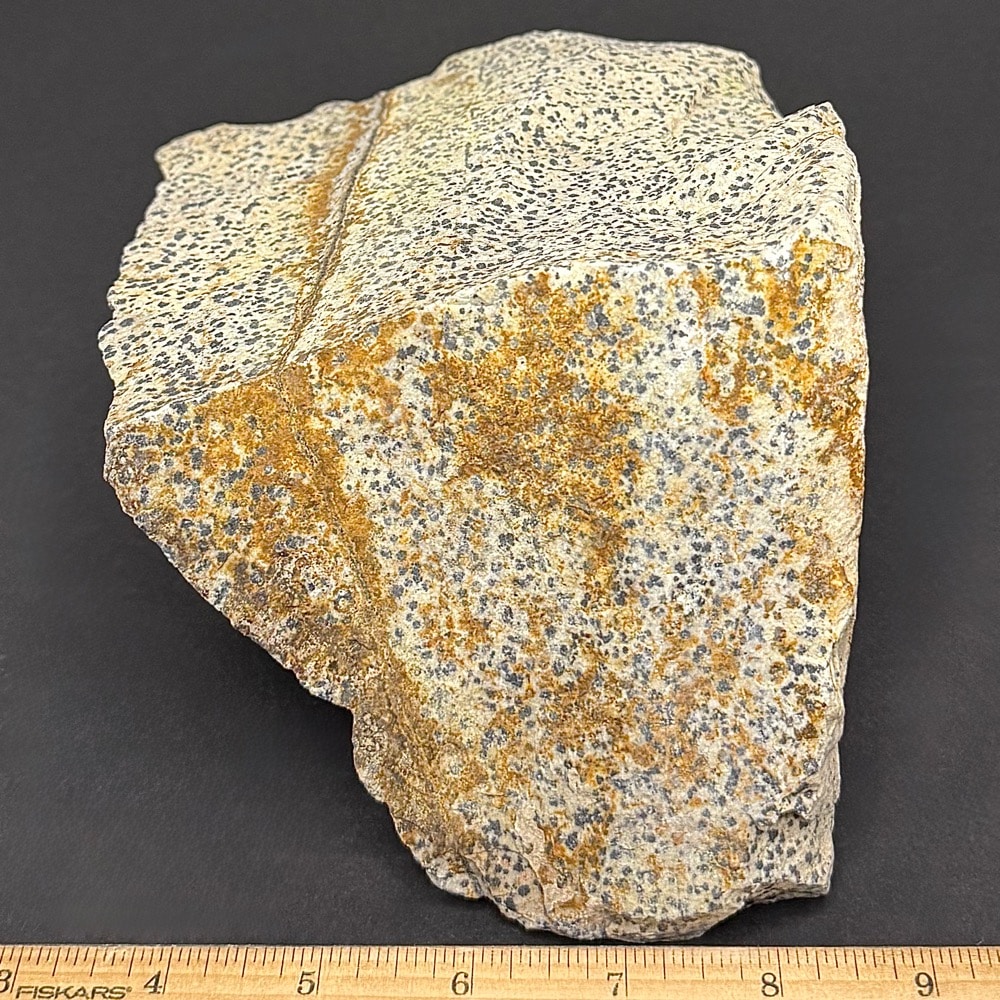 BCR319 Dalmatian Stone - Image 3