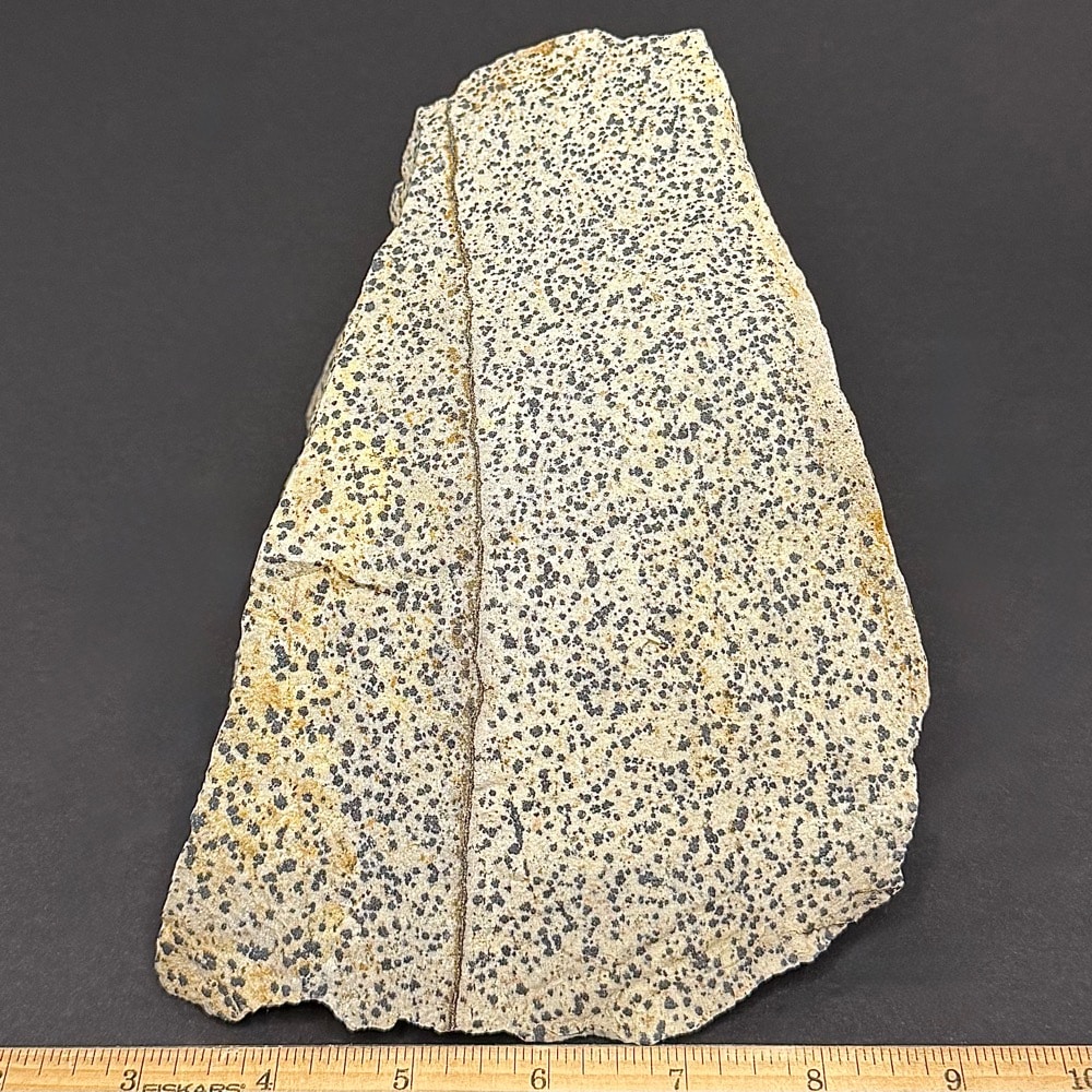 BCR319 Dalmatian Stone - Image 4