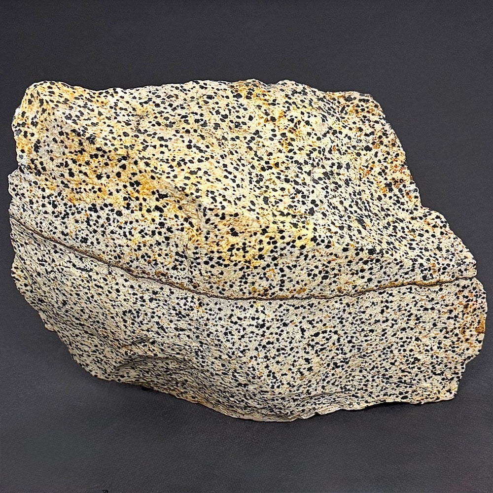 BCR319 Dalmatian Stone