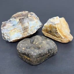 BCR321 Black Skin Agate