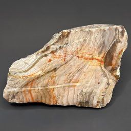 PW106 Wyoming Petrified Wood