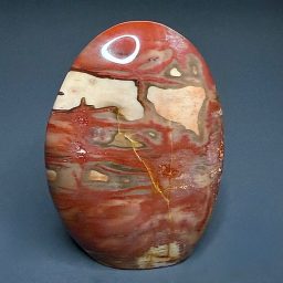 PW202 Madagascar Petrified Stand Up