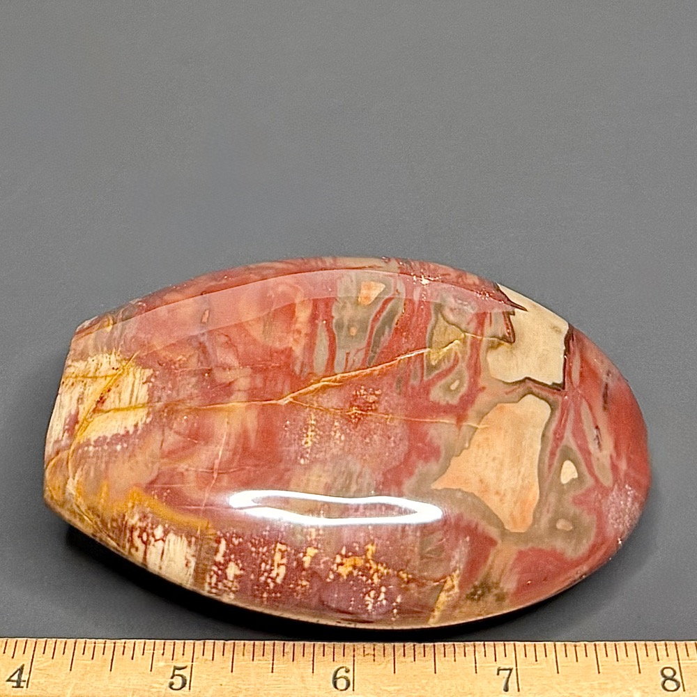 PW202 Madagascar Petrified Stand Up - Image 2