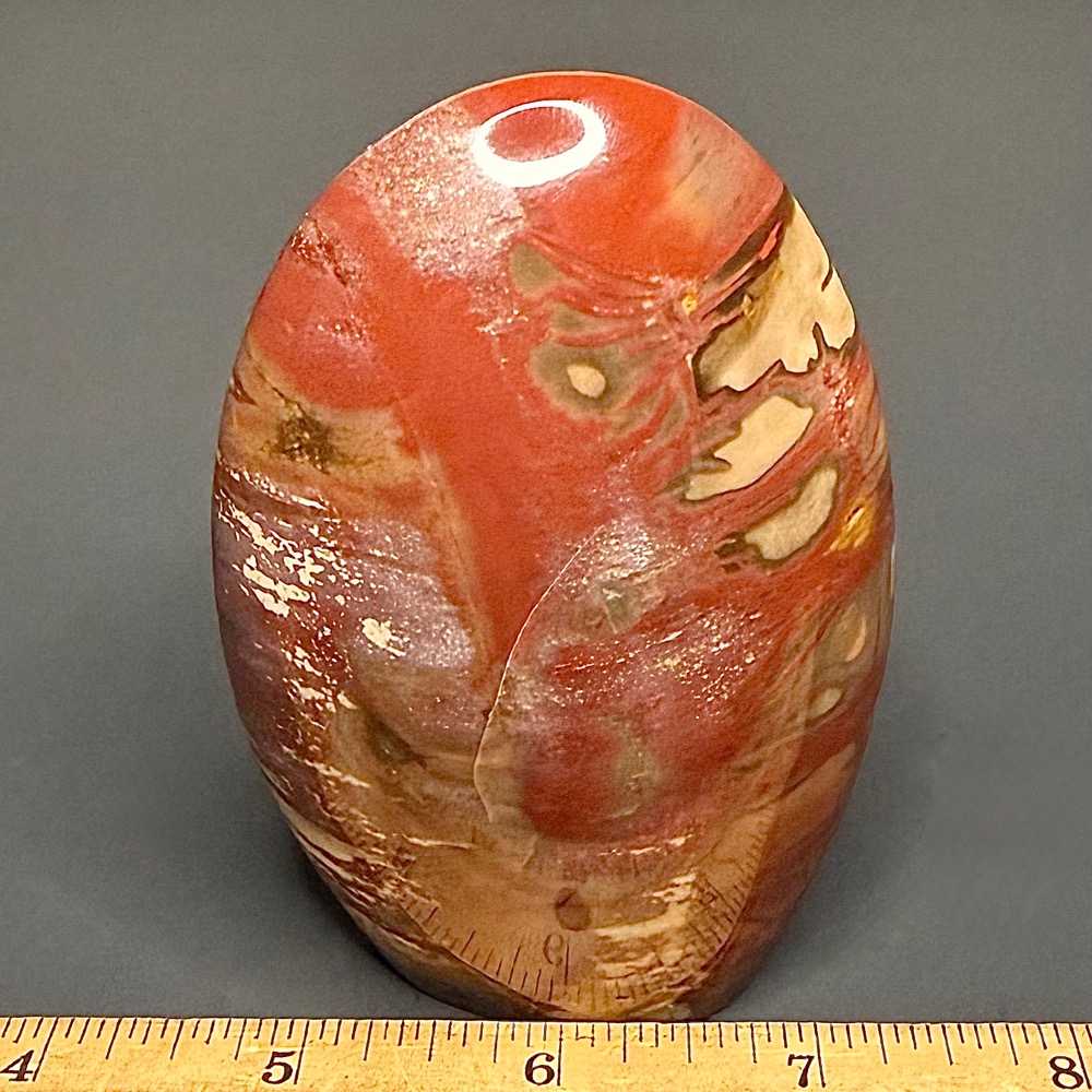 PW202 Madagascar Petrified Stand Up - Image 3
