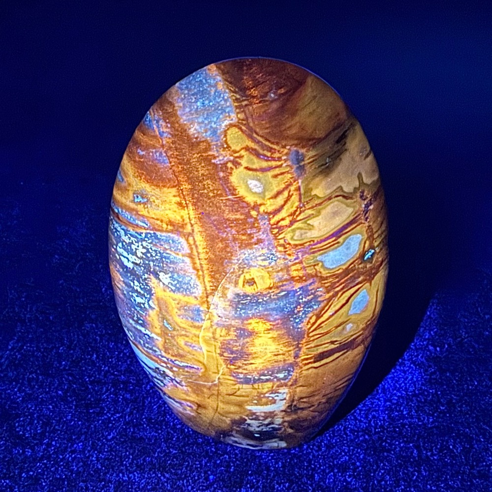 PW202 Madagascar Petrified Stand Up