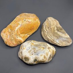 BCR318