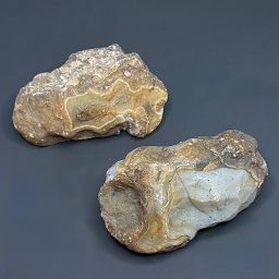 BCR321 Black Skin Agate