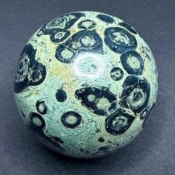 SP310 Kambaba Jasper