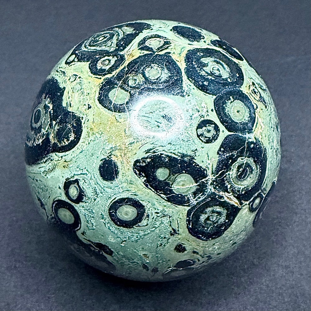 SP310 Kambaba Jasper