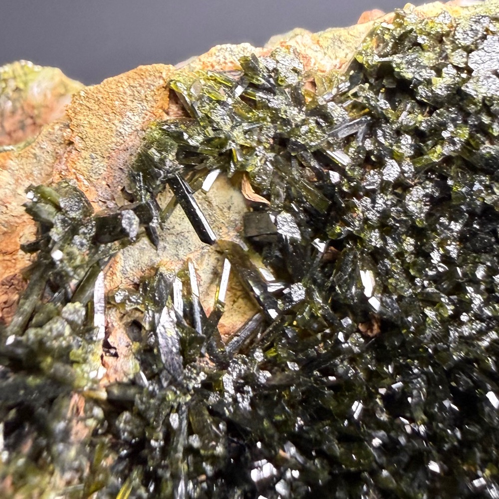 GAL505 Forrest Epidote