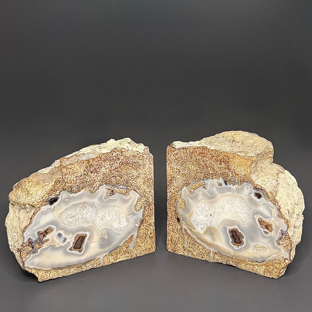 GAL520 EDEN VALLEY PETRIFIED WOOD