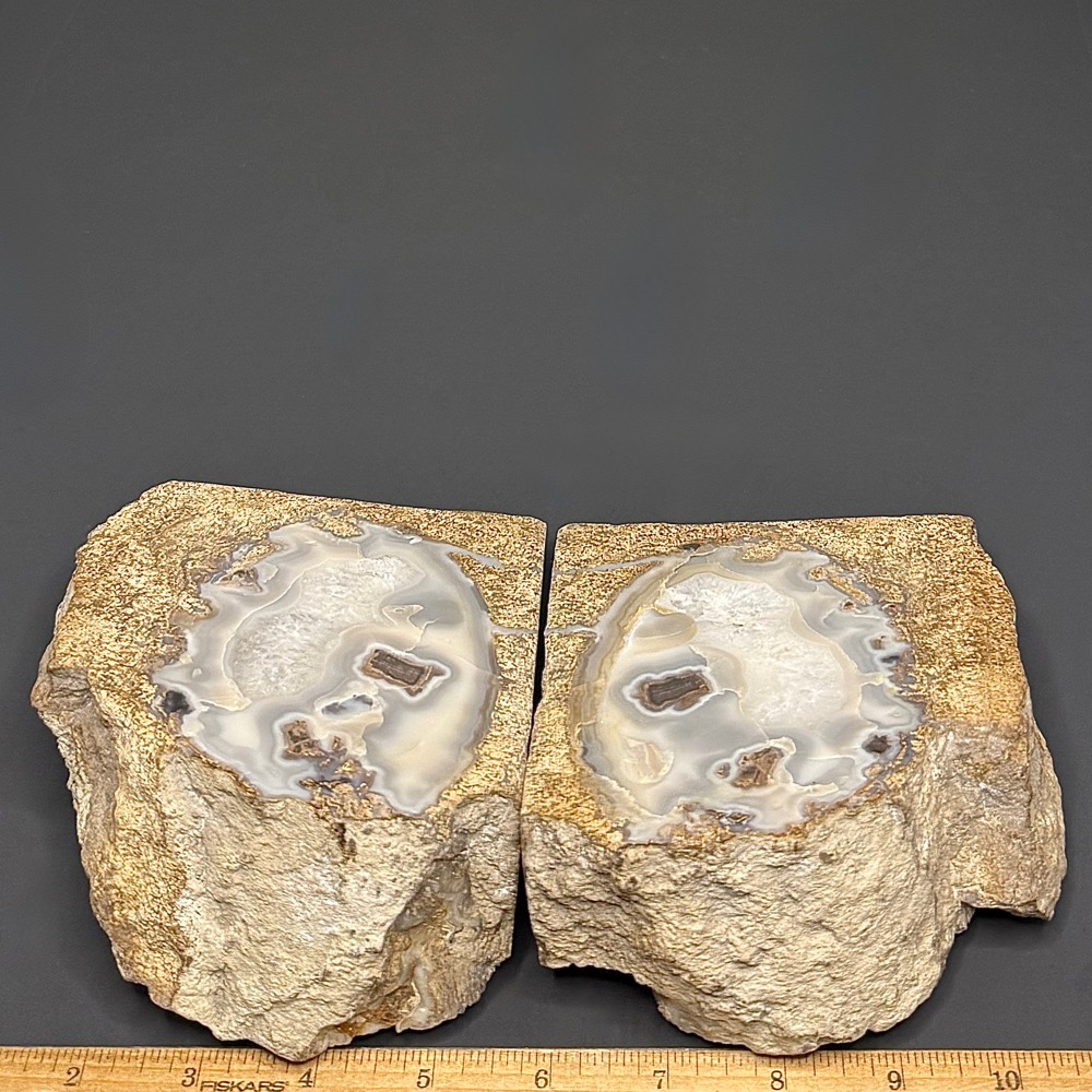 GAL520 EDEN VALLEY PETRIFIED WOOD - Image 4