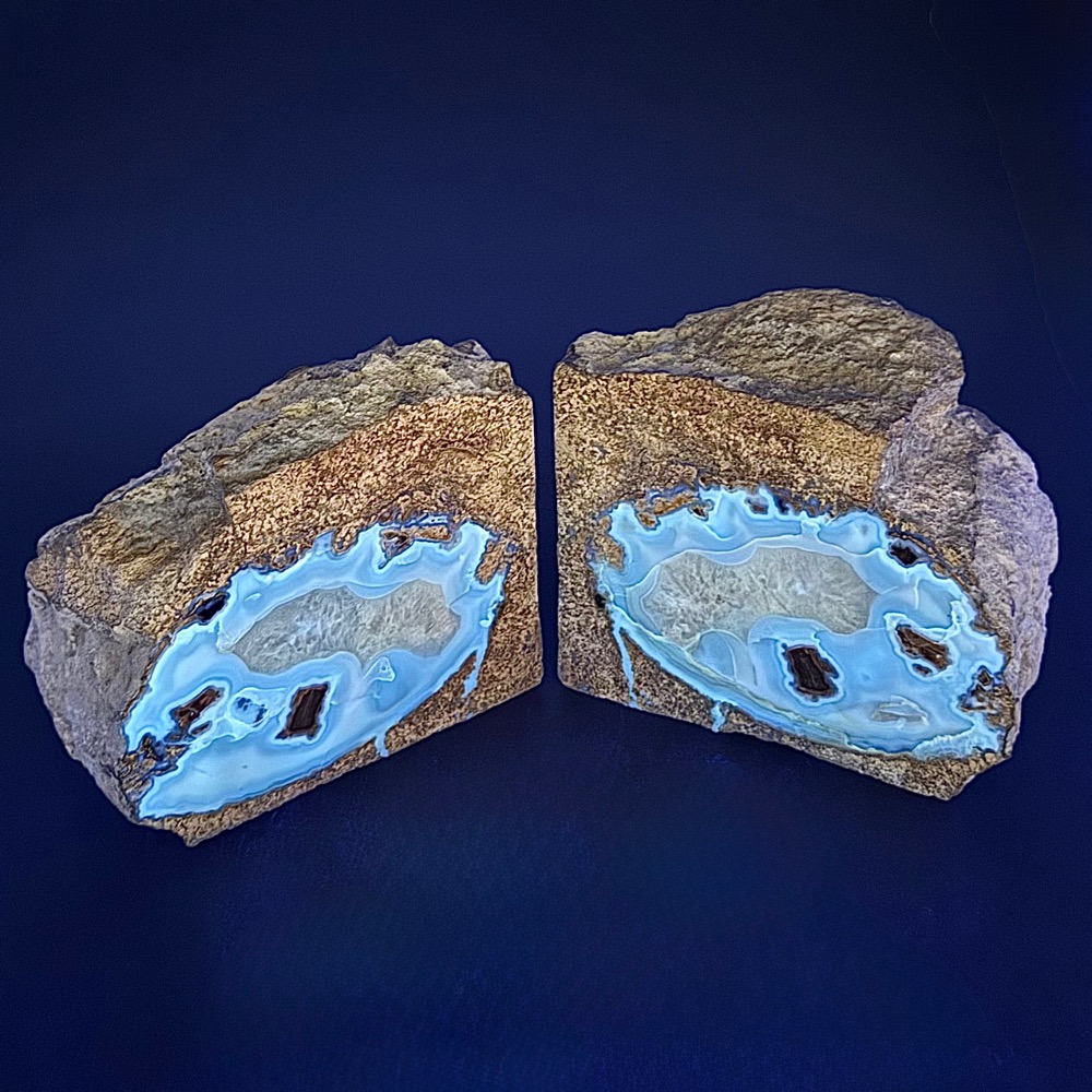 GAL520 EDEN VALLEY PETRIFIED WOOD