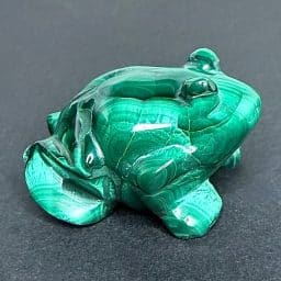 CV118 Malachite Frog