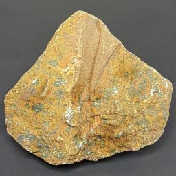 BCR407 Fruite Jasper