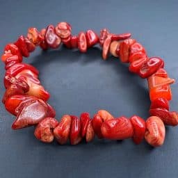 Red Fossil Coral Bead Bracelet