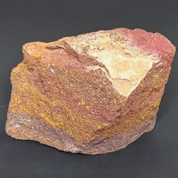 BCR415 Coquina Jasper