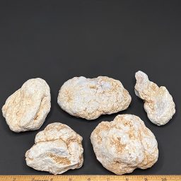 Rough Angelite