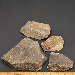 Rough Oolite