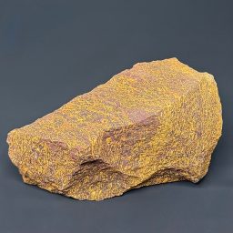 BCR415 Coquina Jasper