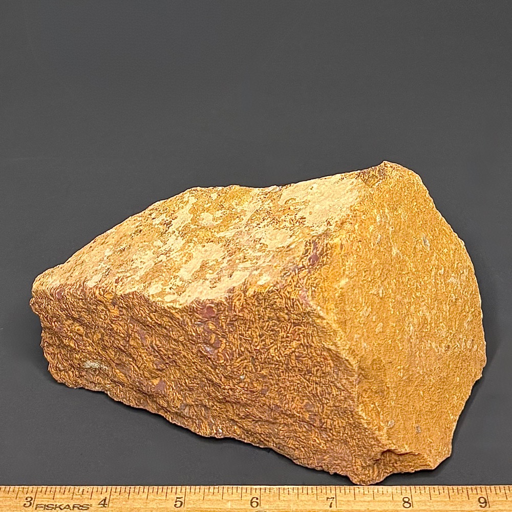BCR415 Coquina Jasper - Image 2