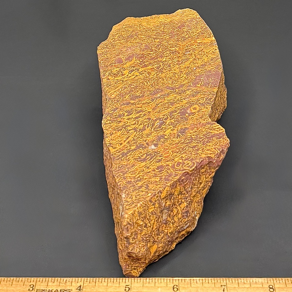BCR415 Coquina Jasper - Image 3
