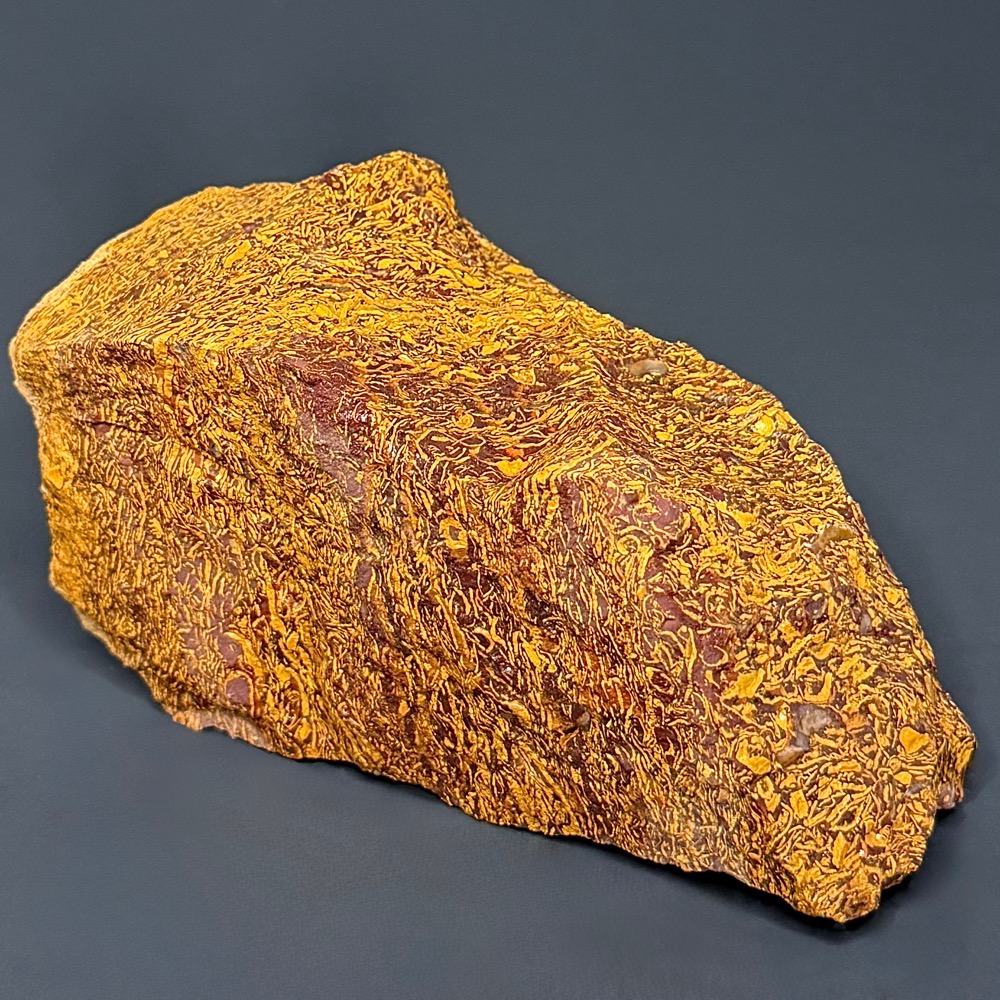BCR415 Coquina Jasper