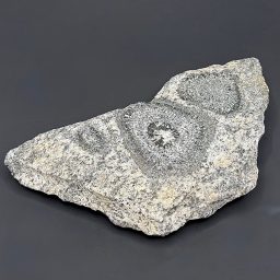 GR127 Orbicular Granite