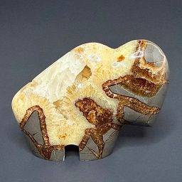 CV210 Septarian Buffalo