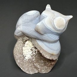 CV404 Brazil Agate Fox