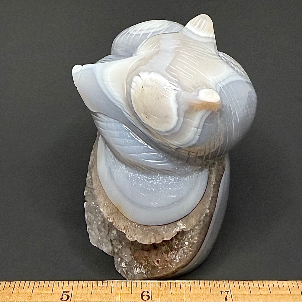 CV404 Brazil Agate Fox - Image 2