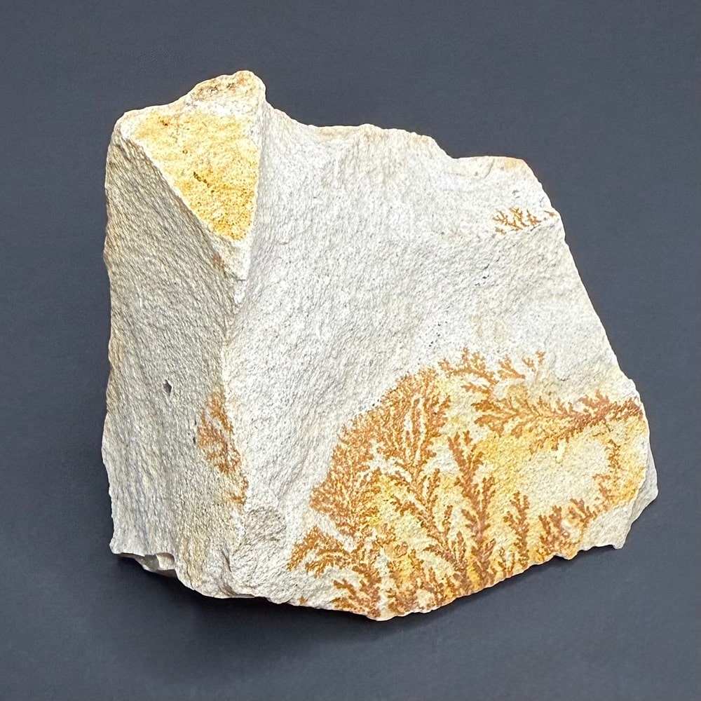 M215 Dendritic Limestone