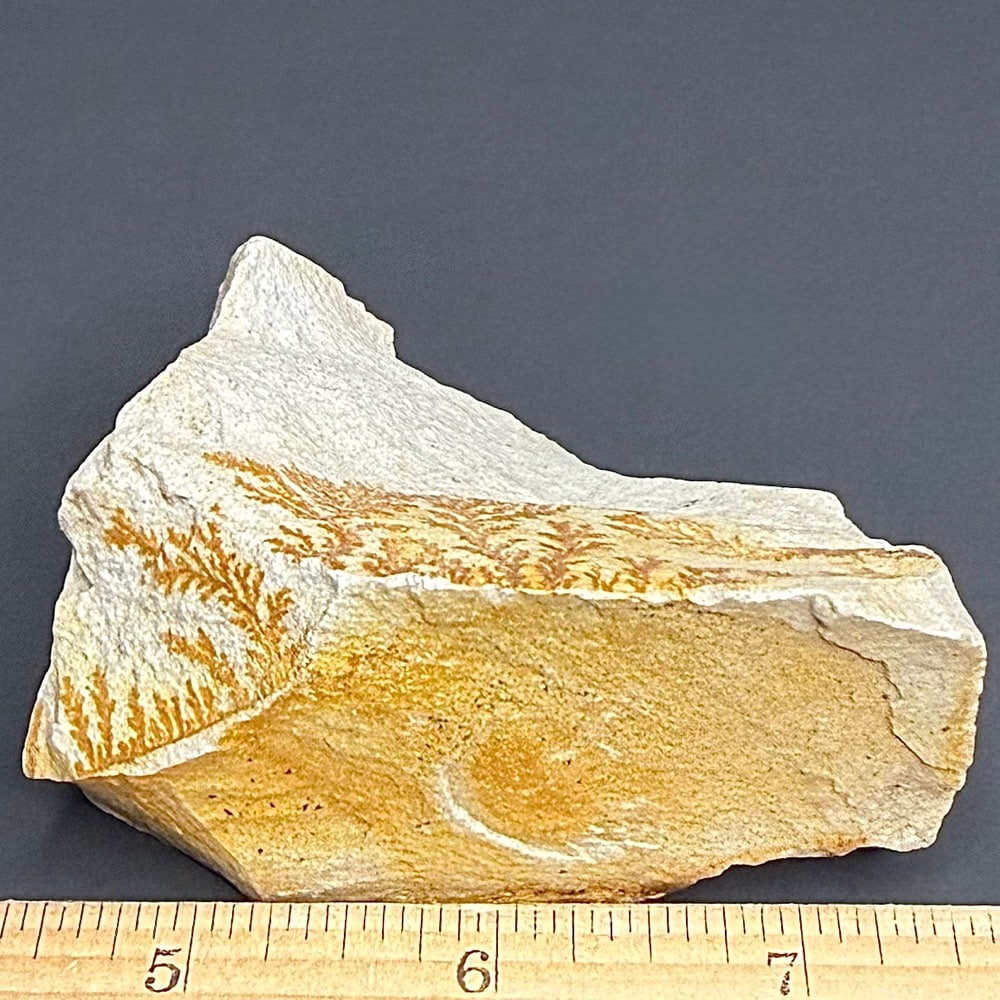 M215 Dendritic Limestone - Image 2