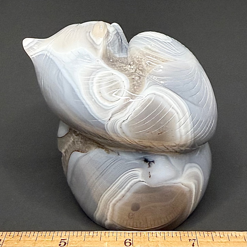CV404 Brazil Agate Fox - Image 3