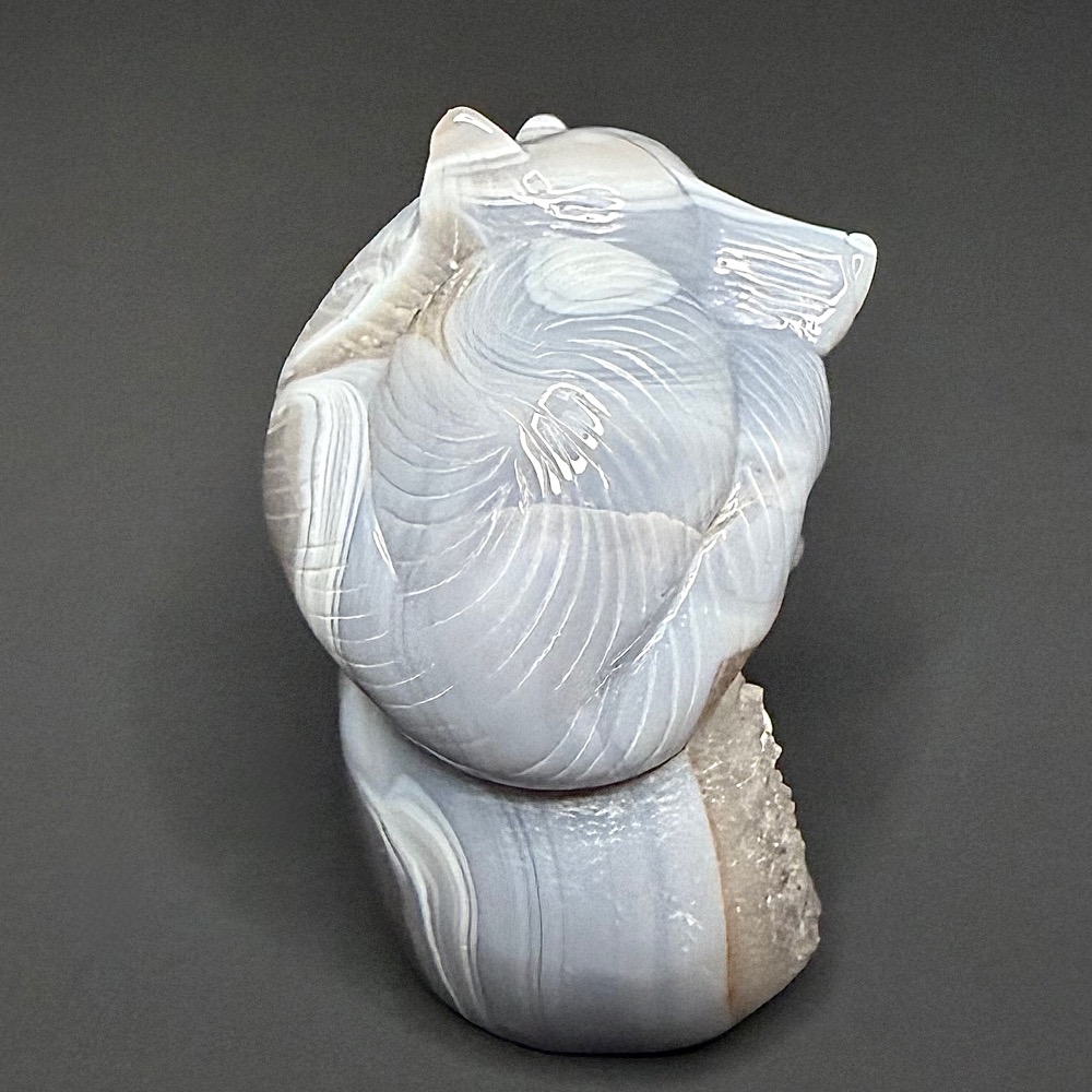 CV404 Brazil Agate Fox - Image 4